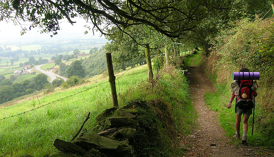 Persona haciendo el Camino de Santiago por un sendero.