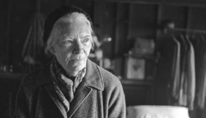 dorothy day