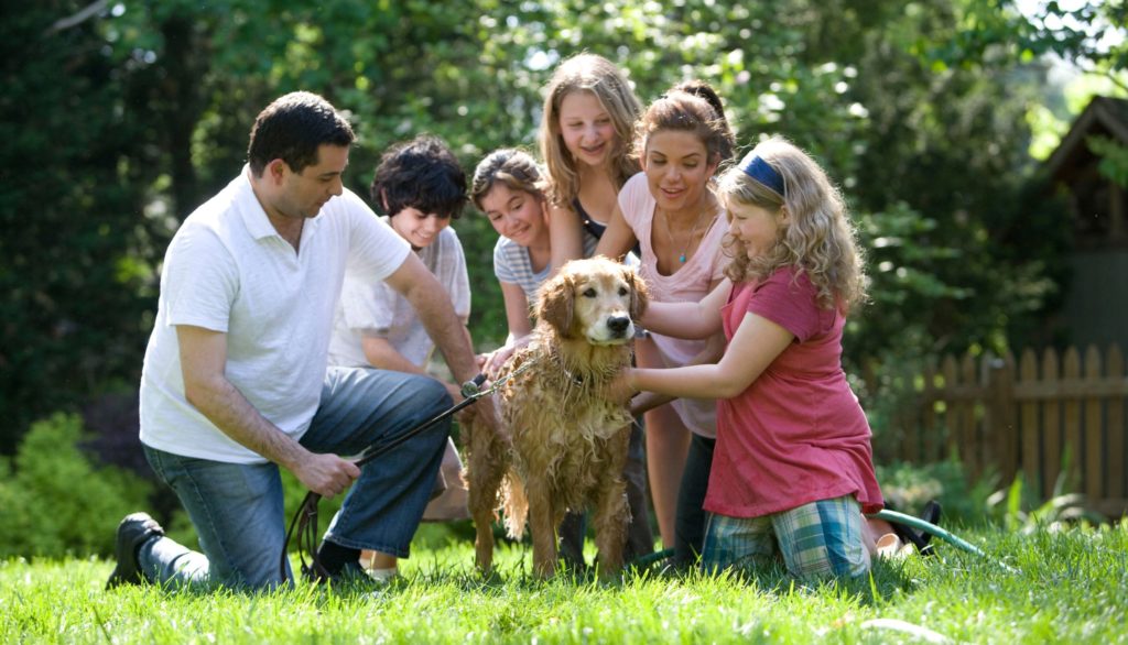 a family in the garden