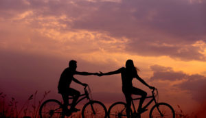 partner_bici