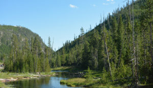 lago y campo