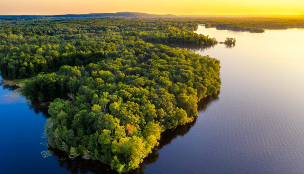 la belleza de la naturaleza