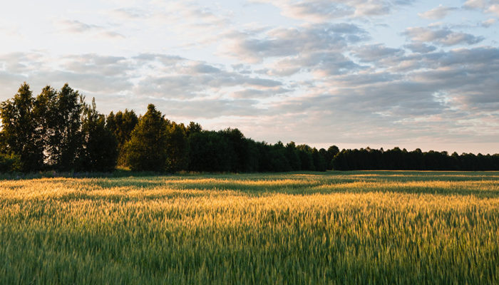 Esperanza, disfrutar, ánimo