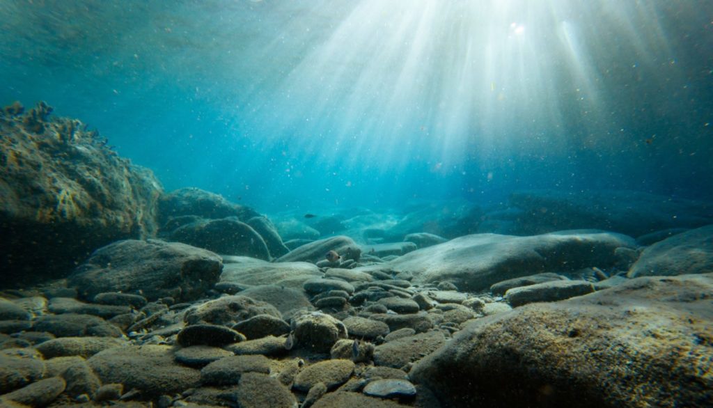 peixes milagrosos