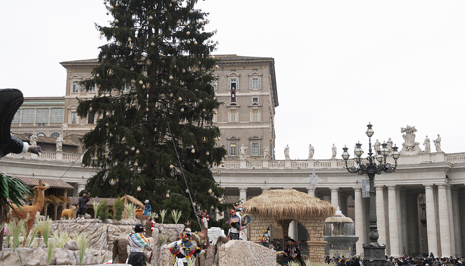 navidad san pedro