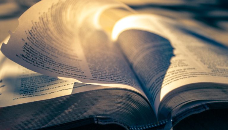 lectures du dimanche