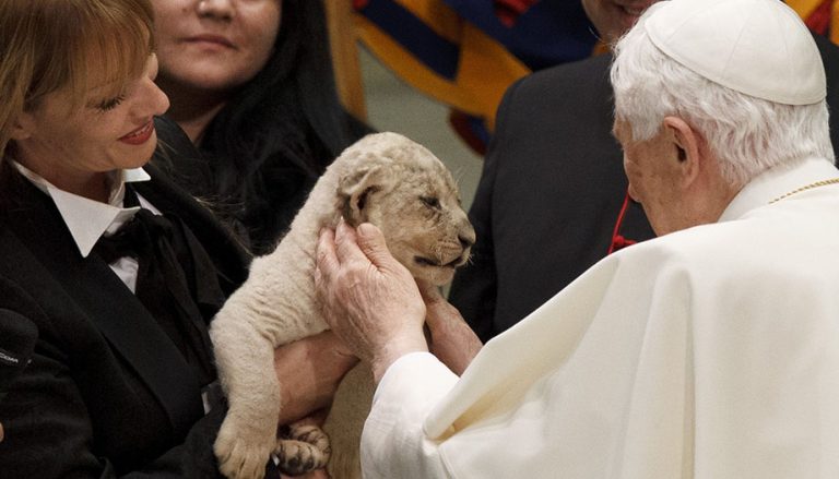 Benedetto XVI