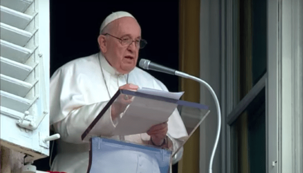 angelus 22 january