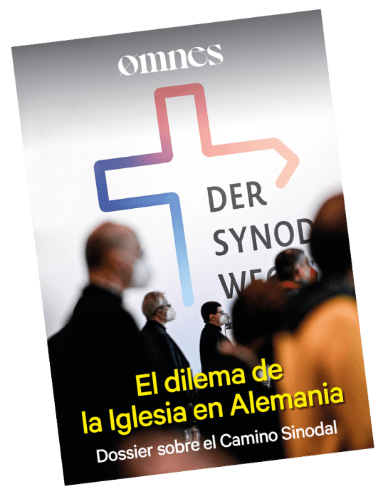 ebook el dilema de la iglesia en Alemania