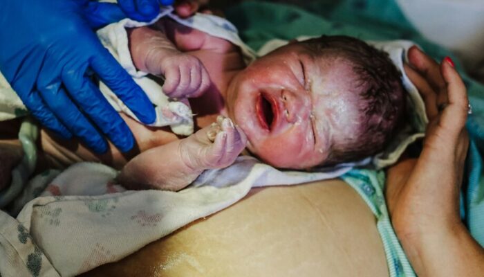 Anne Schaub: “Todo embrión se apega naturalmente a la madre que lo lleva”