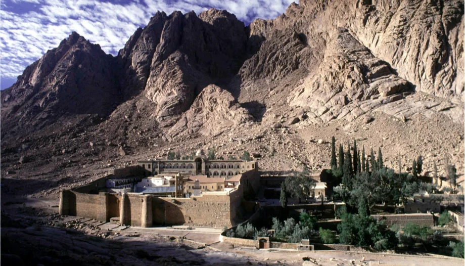 mount sinai