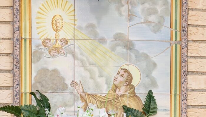 San Pascual Bailón.