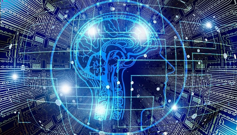 Recreación de un cerebro humano con IA, Pixabay