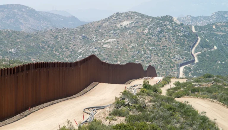 cuestión migratoria 