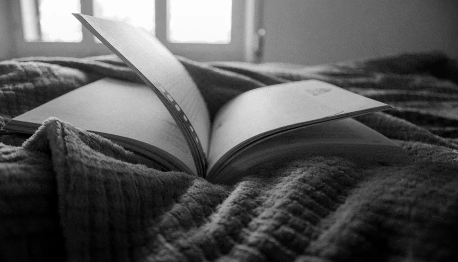 novela erótica