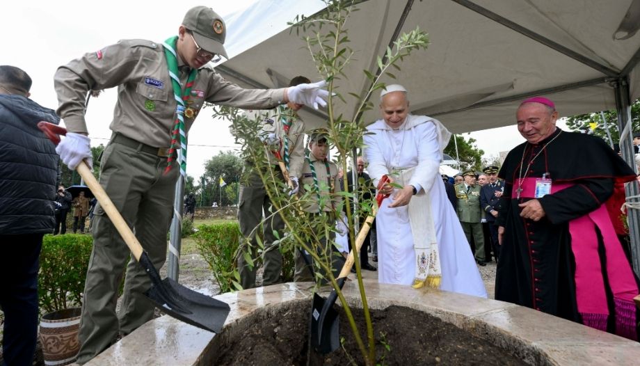 El Papa planta un olivo en Hipone (Annaba).