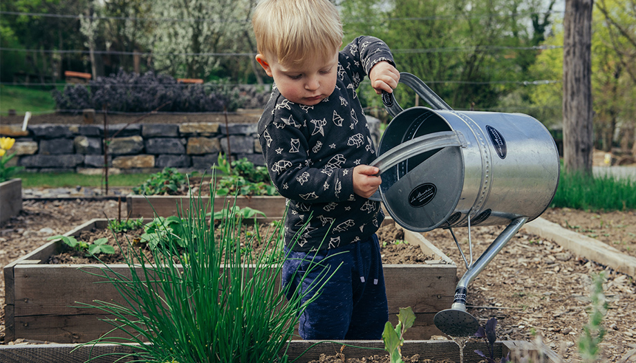 Niño regando plantas.