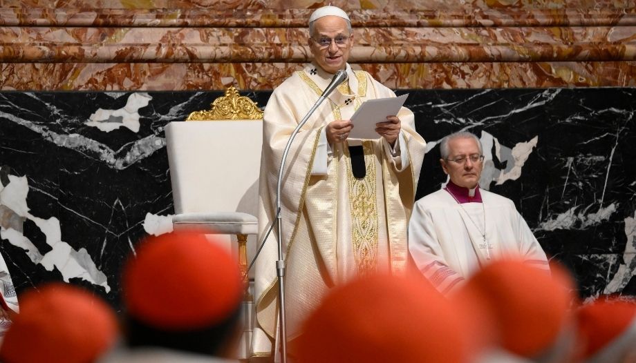 Papa: Misa con los cardelaes enero 2026.